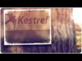 ROBLOX Kestrel Commercial