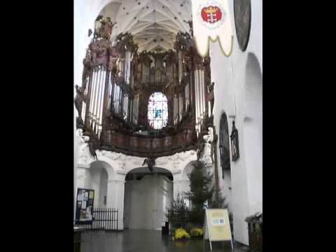 Rokokoorgel in Danzig-Oliva