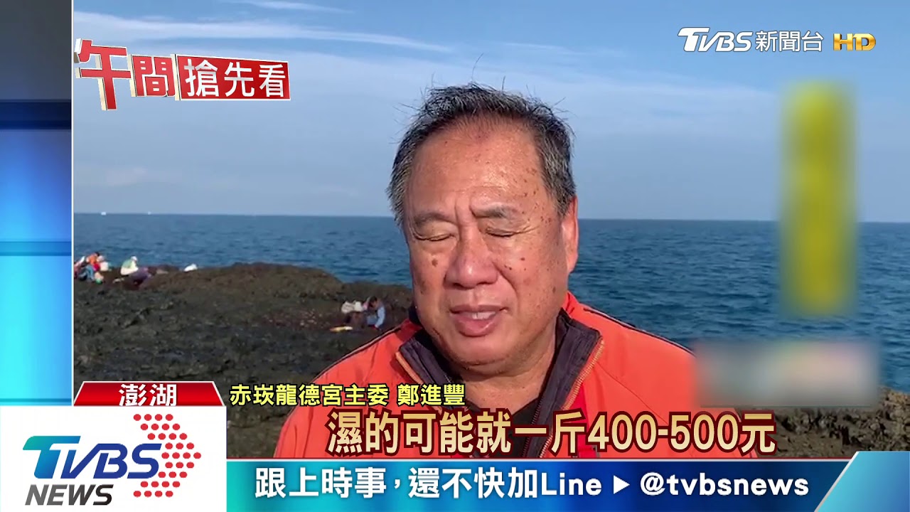 野生價高！民眾搶採姑婆嶼「紫菜」　賺紅包