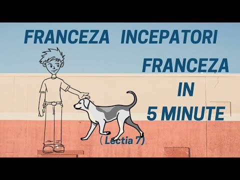 Franceza in 5 minute - Curs franceza incepatori online (2019) - Lectia 7