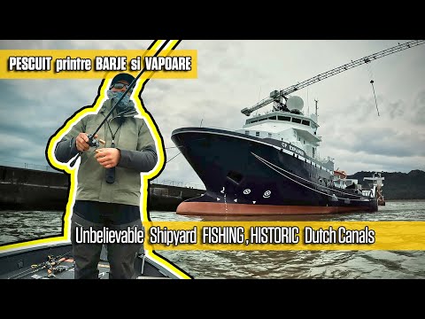 Am PESCUIT printre VAPOARE URIASE si BARJE ca sa PRINDEM PESTE.