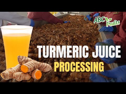 Aseptic Turmeric Juice NFC Processing | Step-by-Step Guide of Minimally Processed Turmeric Juice
