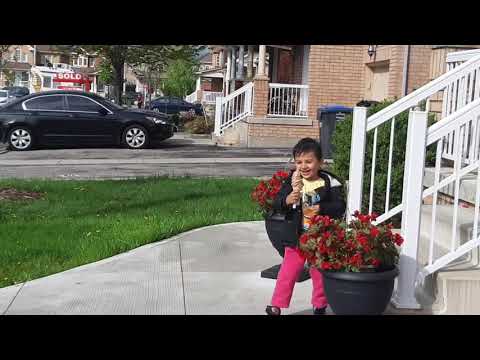 Ice cream ice cream here comes the ice cream