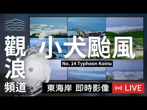 東管處製作颱風小犬觀浪頻道 11支即時影像直播