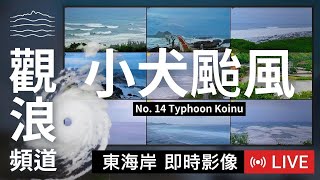 東管處製作颱風小犬觀浪頻道 11支即時影像直播