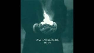 DAVID SANBORN - DAYDREAMING