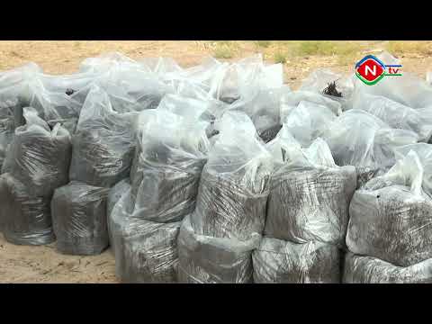 Günün tələbi - 12.01.2022