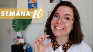 #EMBARAZOARCOIRIS - SEMANA 10 - Eco y Test Prenatal No Invasivo ¿sí o no  |  Suddenly This