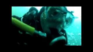 Scuba diving Free Flow at 22 meters April 2012 at Stoney Cove