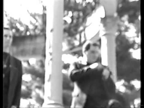 Shamefaces -  Shadow Boy