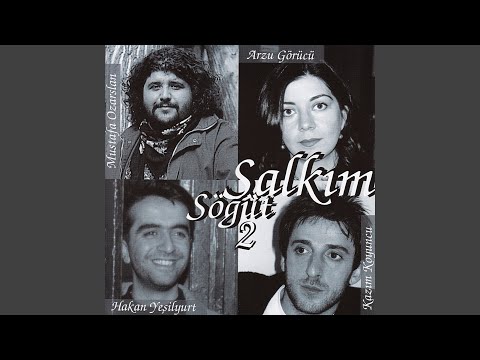 Video Yükleniyor...