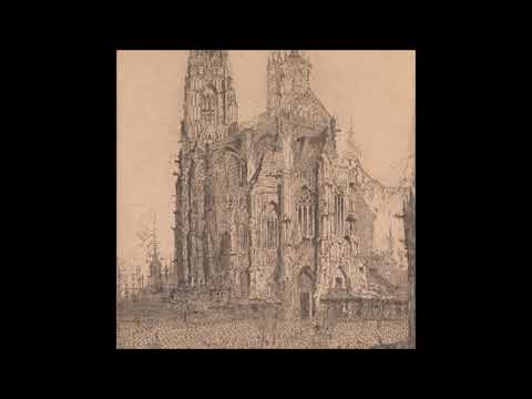 15. 𝔟𝔩𝔞𝔠𝔨 𝔯𝔞𝔦𝔫 - dunkler wind (klip.) [30.07.2019]