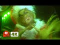 How The Grinch Stole Christmas 4K You Re A Mean One Mr Grinch Movieclips