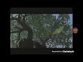 A Bug S Life Tv Spot 1998
