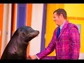 Clyde And Seamore S Sea Lion High 101 SeaWorld Orlando