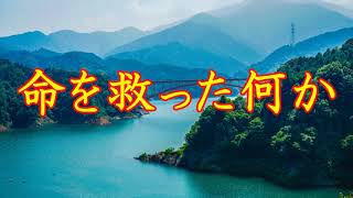 【怪談朗読】命を救った何か【怖い話】