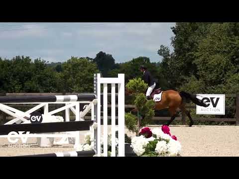 Kissmi de Vains SAUT