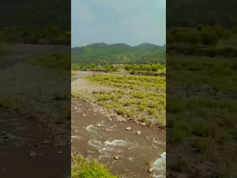 Jatinder dalal@Alone in world