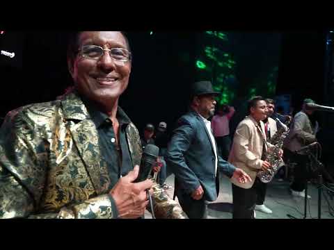 Pinotepa, El cuarare, El poquilín, El burro loco · Fiesta 85