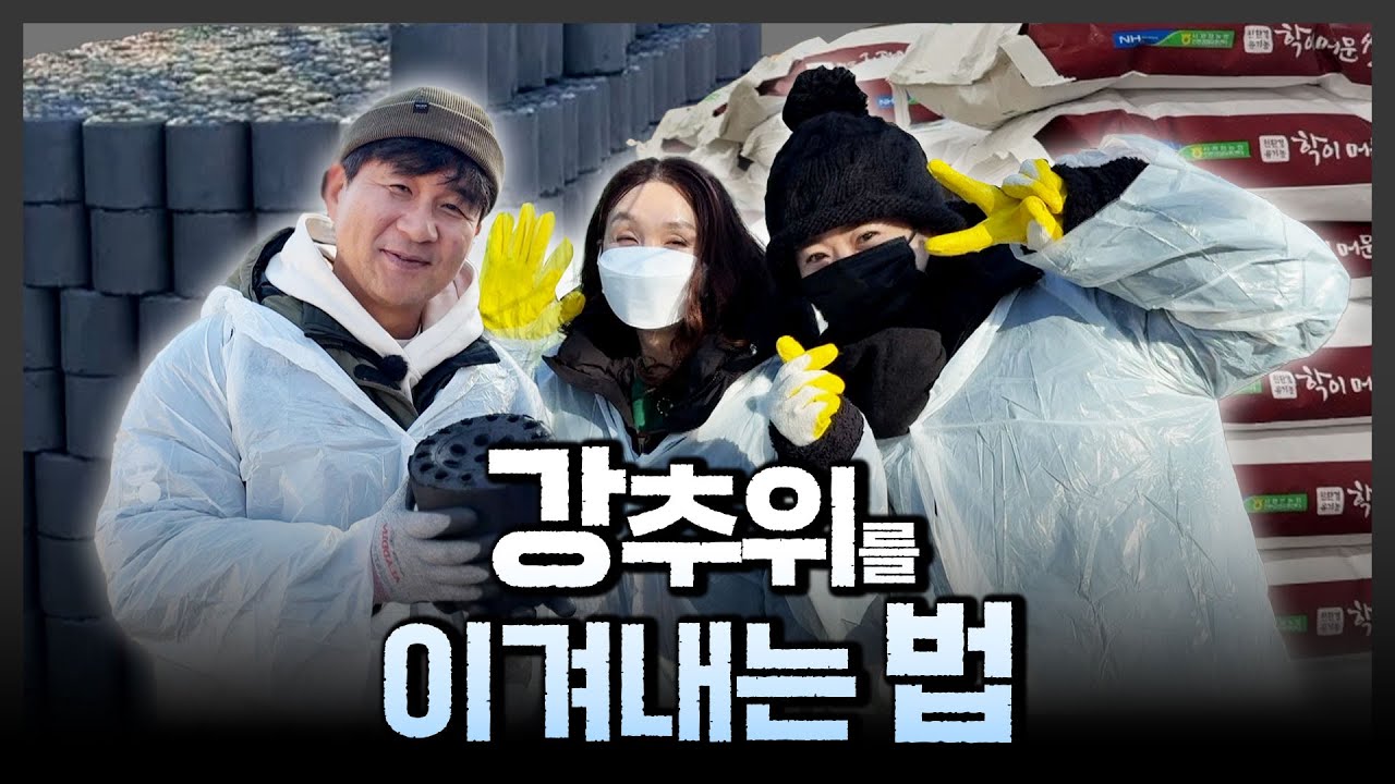 너무 추운 이번 겨울! 따~뜻하게 보내는 방법? [강원365]