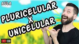 Organismos Unicelulares e Pluricelulares (Multicelulares) | Biologia com Samuel Cunha
