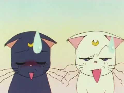 Sailor Moon-la falsa Rini de Artemis y Luna (cap 74)