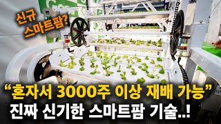 혼자서 움직이지 않고 제자리에서 상추 3000개 심기 가능??!! 진짜 신기하고 다양한 농업기술 살펴보기! …