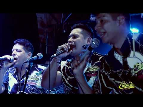 LOS ELEGANTES DE LA CUMBIA - MIX MALLANEP - FELIZ 17° ANIVERSARIO VIDEO OFICIAL EN VIVO