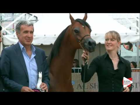 Most Beautiful Head Award - Class 6A - N. 93