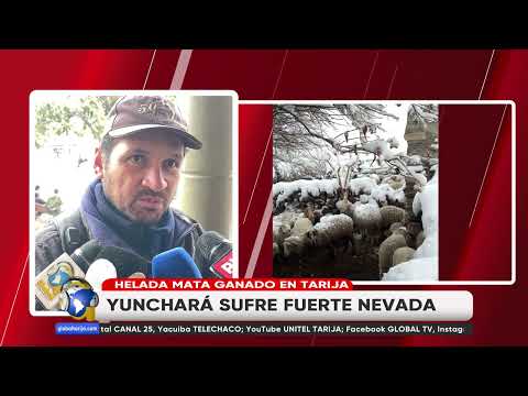 NEVADA CAUSÓ DESASTRES EN MUNICIPIOS DE YUNCHARA Y EL PUENTE