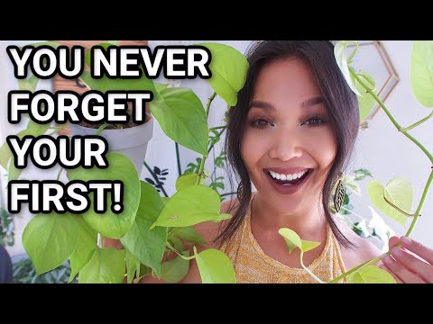 Top 5 Favorite NONE RARE PLANTS | Common Houseplant Appreciation! 👏