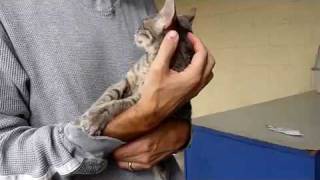 Holding Timothy Monday 19 October 2009