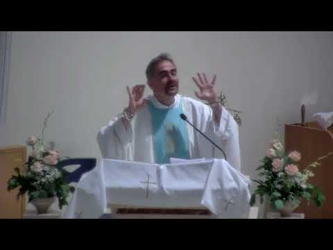 In Cammino con i Salmi  - Salmo 145 -  16 maggio 2022