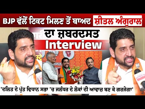 BJP ਵੱਲੋਂ ਟਿਕਟ ਮਿਲਣ ਤੋਂ ਬਾਅਦ Sheetal Angural ਦਾ ਜ਼ਬਰਦਸਤ Interview- 'ਦਲਿਤ ਦੇ ਪੁੱਤ ਵਿਧਾਨ ਸਭਾ 'ਚ ਜਲੰਧਰ