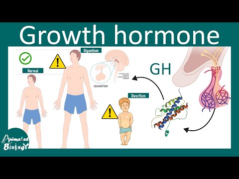 Shreetropin somatropin recombinant human growth hormone inje...