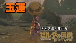 【実況】方向音痴が駆ける【ゼルダの伝説ブレスオブザワイルド】57