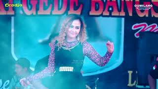 Download lagu DRADJA - LAKSMANA RAJA DI LAUT - EVA AQUILA - LINDU AJI LAPANGAN JERUKWANGI BANGSRI JEPARA mp3 Download lagu DRADJA - LAKSMANA RAJA DI LAUT - EVA AQUILA - LINDU AJI LAPANGAN JERUKWANGI BANGSRI JEPARA mp3