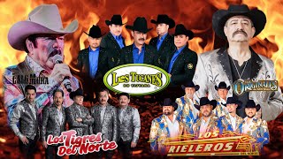 Los Tucanes de Tijuana, Lalo Mora, Los Tigres del Norte, Los Originales De San Juan,...