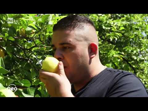 Puntata Geo dedicata a Avola e Noto