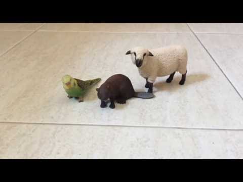 NEW SCHLEICH FIGURES! - Schleich FarmLife and Schleich WildLife