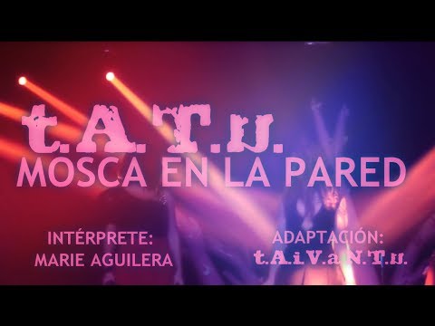 t.A.T.u. | Fly On The Wall | Spanish Cover | Mosca En La Pared