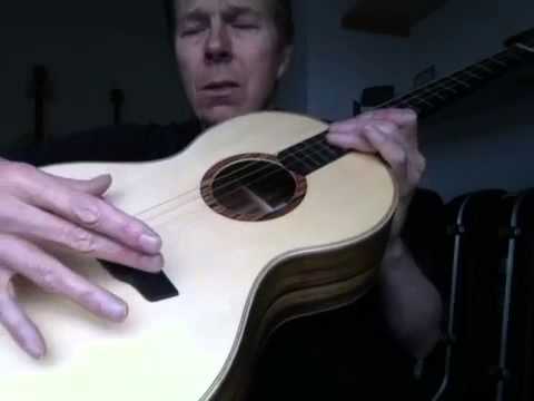 Hand built Tenor guitar by Chris Perkins
