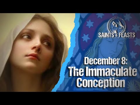 December 8: The Immaculate Conception of the Blessed Virgin Mary