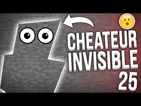 UN CHEATER SE DÉGUISE EN STONE ! - Episode 25 | Admin Series - Paladium