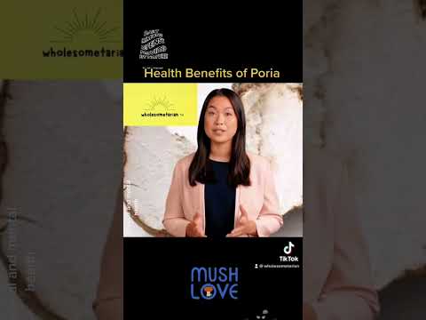 Poria Cocos Extract Powder