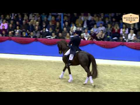 Füchtels Florsicount v. Florencio I, Althengstparade 2014 - Böckmann Pferde