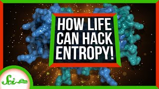 How Cells Hack Entropy to Live