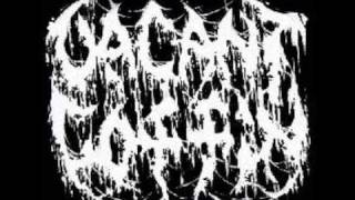 Vacant Coffin - Tales of Suppuration