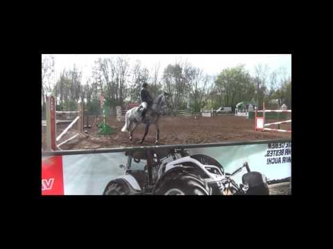 Sportpferde Matthias Keil - Chriddidsch