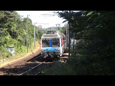 Z6400 dans la forêt de Marly